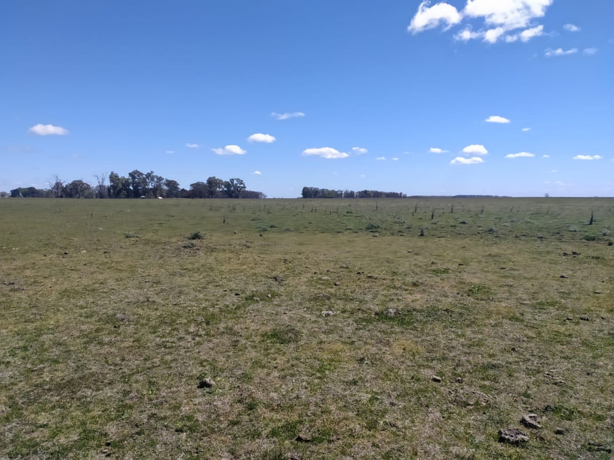 310 ha Mixtas - Del Valle - Tranquera cerrada