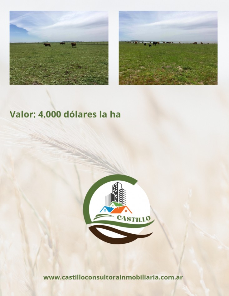 1438 ha mixto - bolivar
