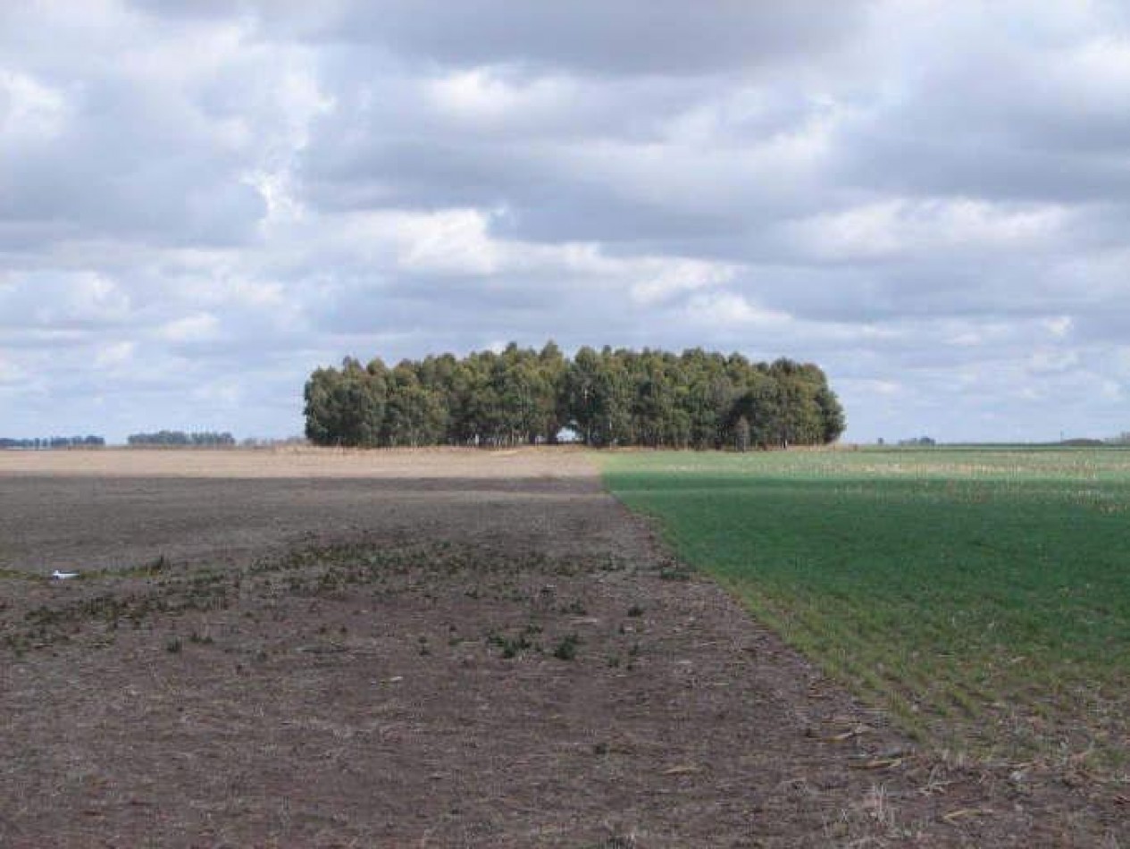 2035 Ha Agricolas - General Villegas
