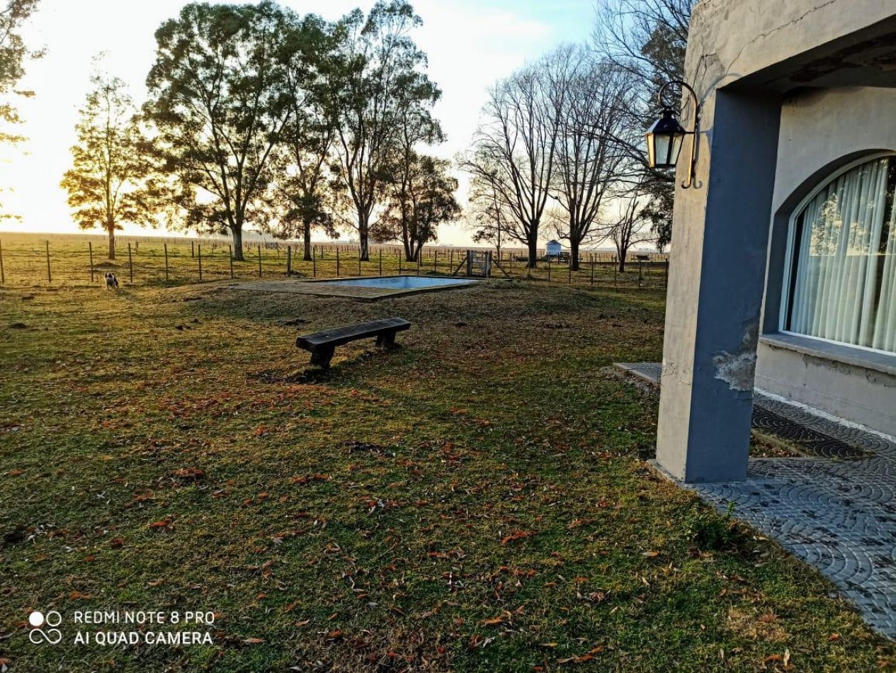 617 ha Mixtas - Martin Colman - Rauch