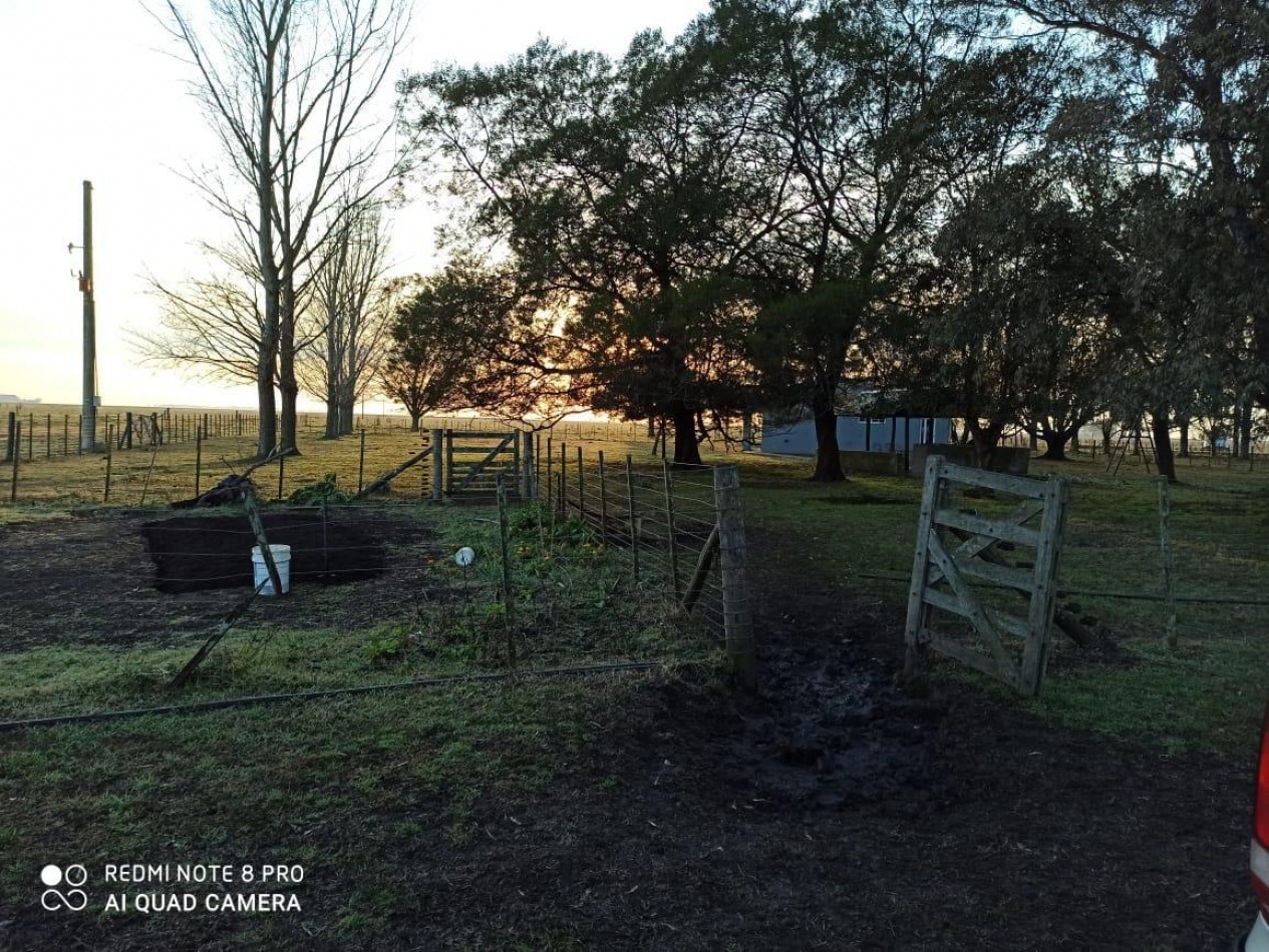 617 ha Mixtas - Martin Colman - Rauch