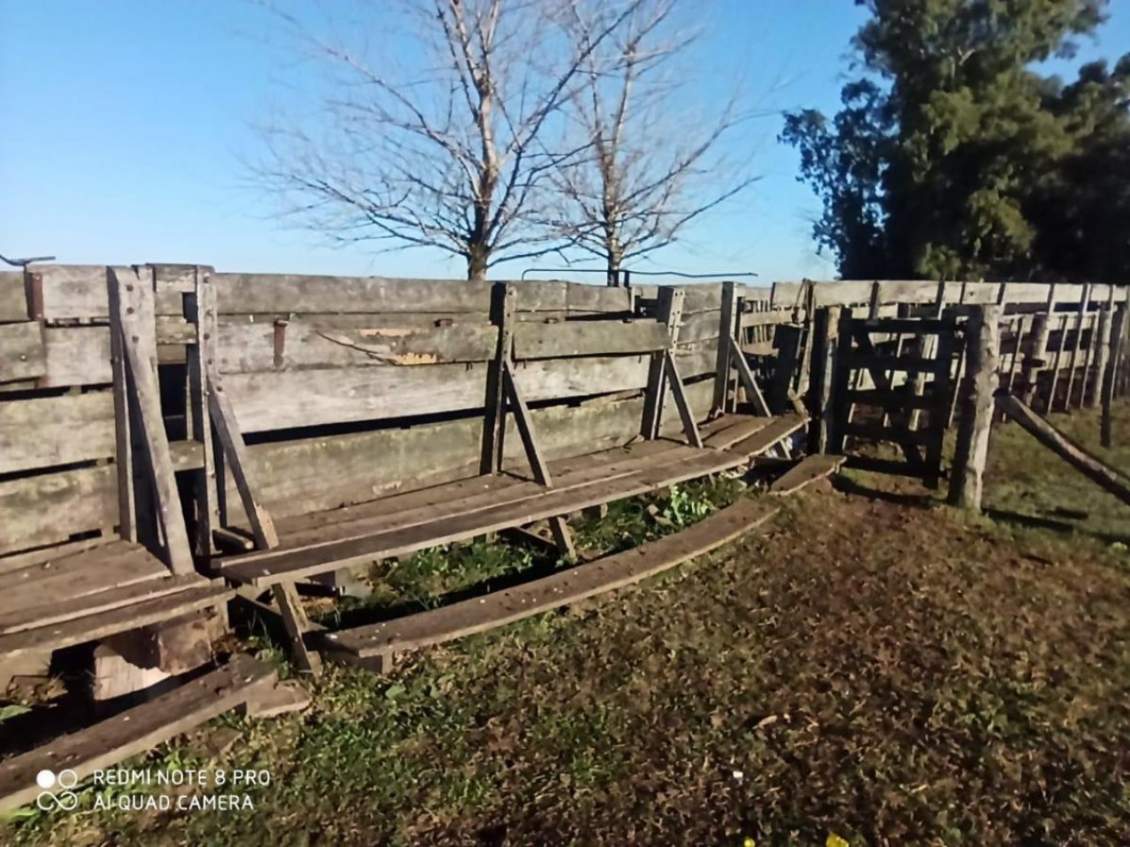 617 ha Mixtas - Martin Colman - Rauch