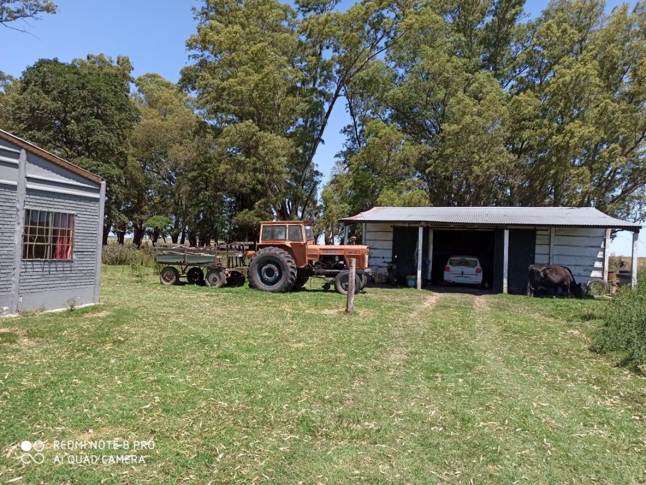 617 ha Mixtas - Martin Colman - Rauch