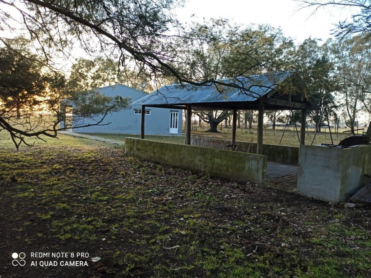 617 ha Mixtas - Martin Colman - Rauch