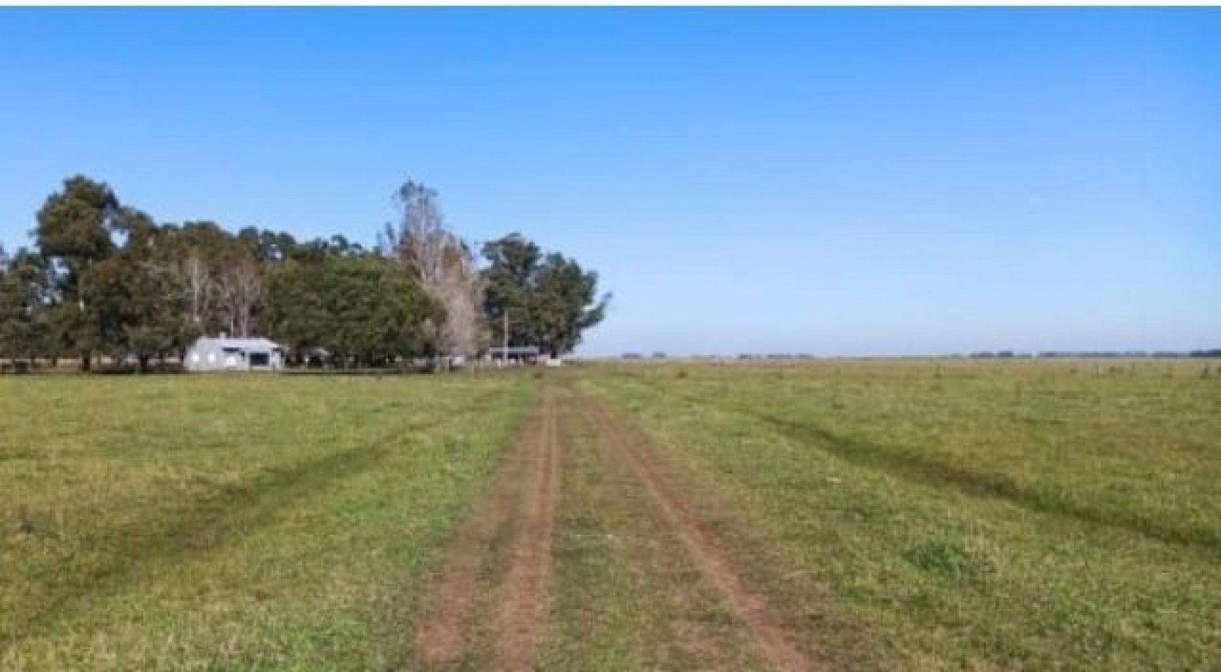 617 ha Mixtas - Martin Colman - Rauch