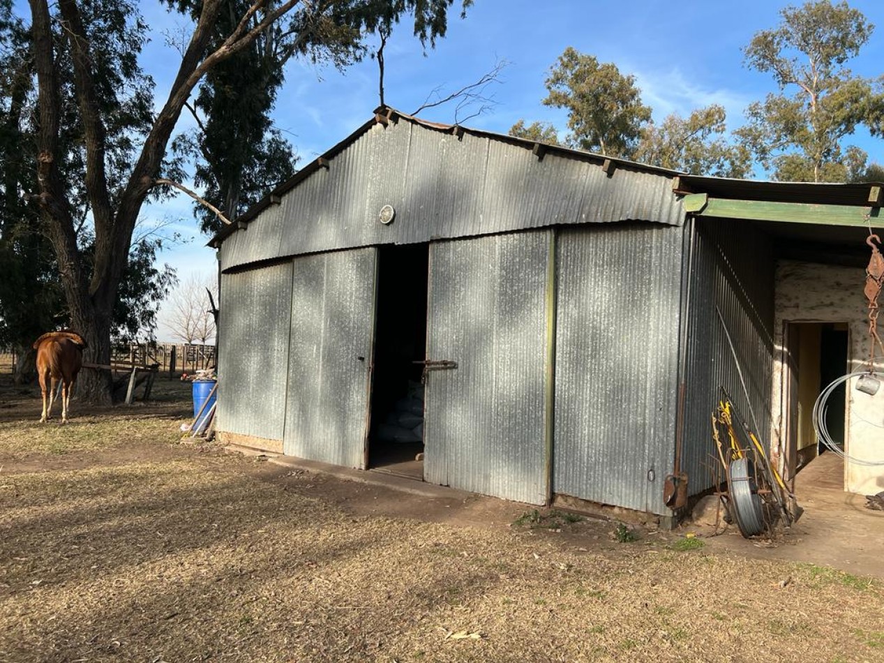 617 ha Mixtas - Martin Colman - Rauch