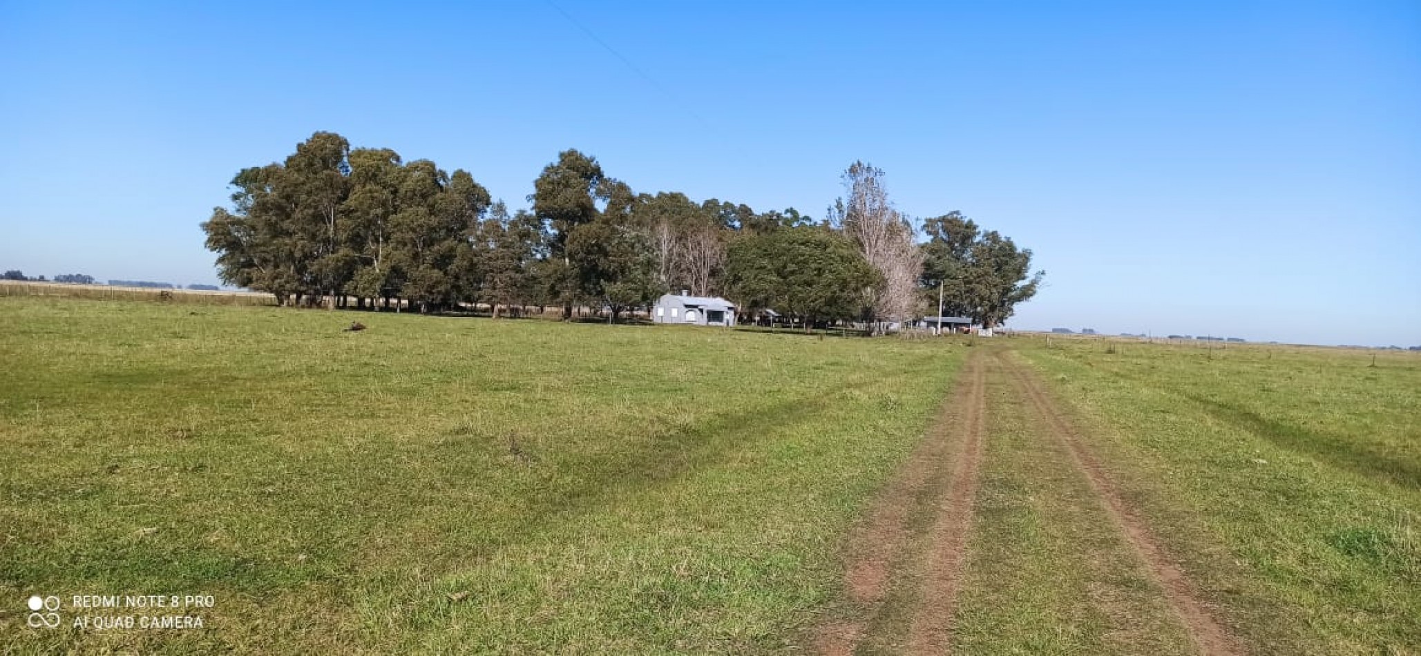 617 ha Mixtas - Martin Colman - Rauch