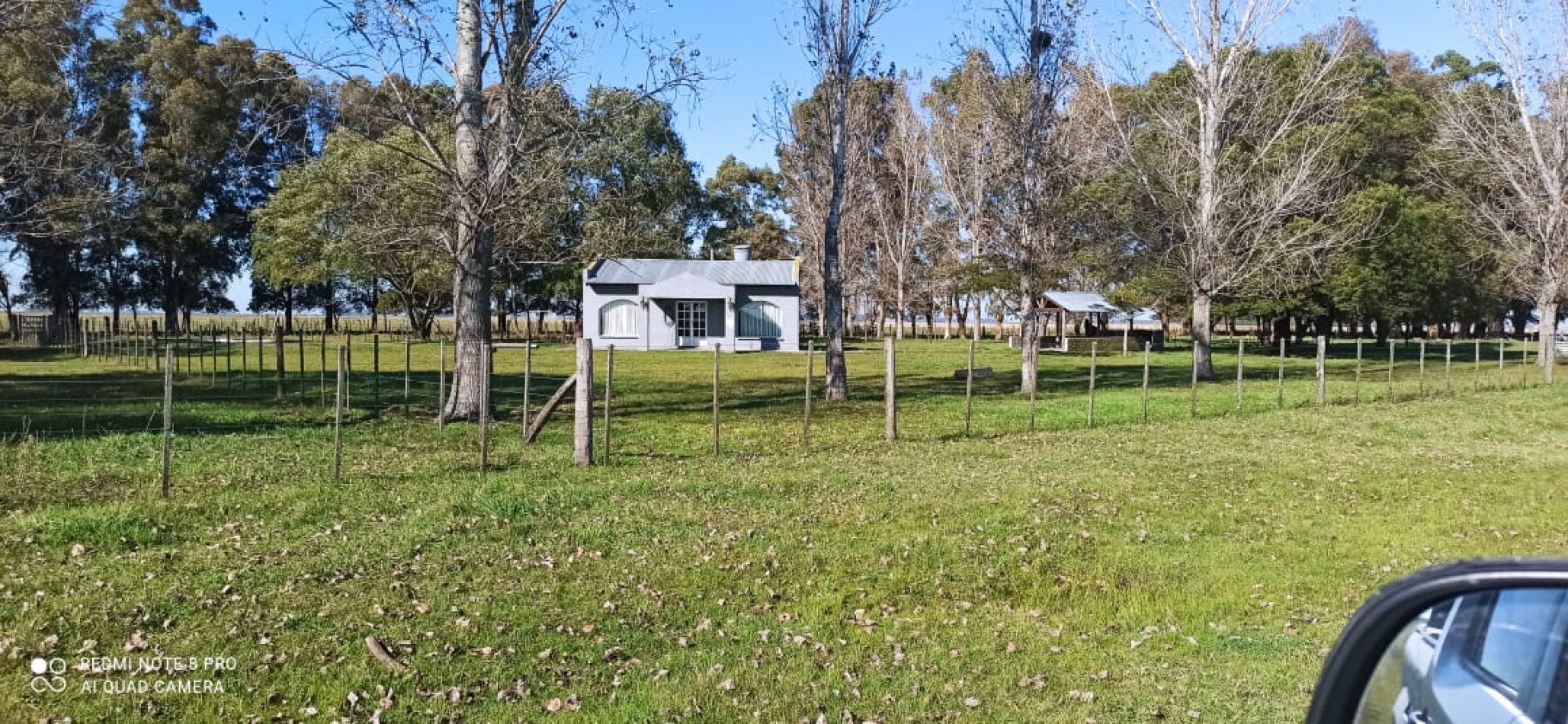 617 ha Mixtas - Martin Colman - Rauch