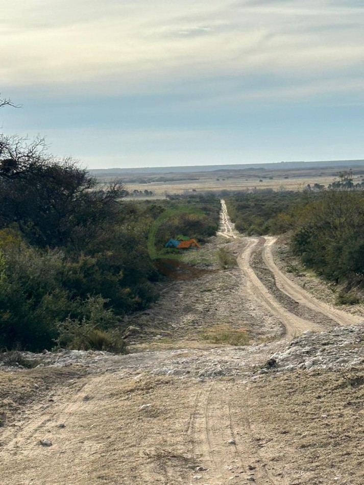 1006 Ha Mixto - Gral Acha - La Pampa