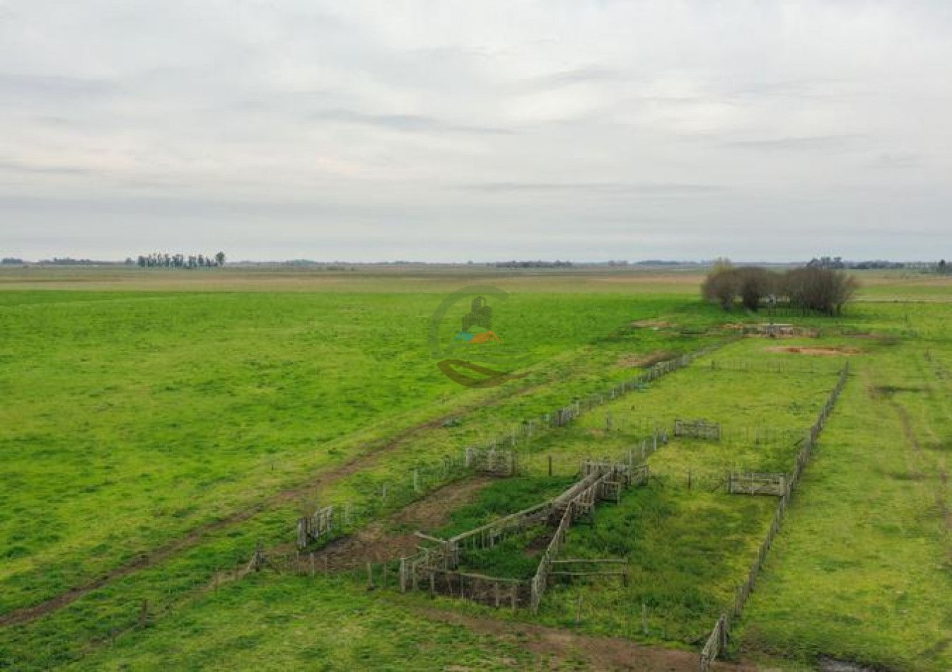 1795 Ha Ganadero - Chascomus