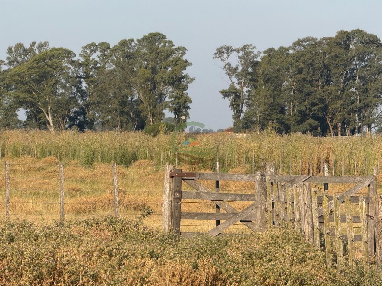 1698 ha Mixto - Paula - Bolivar