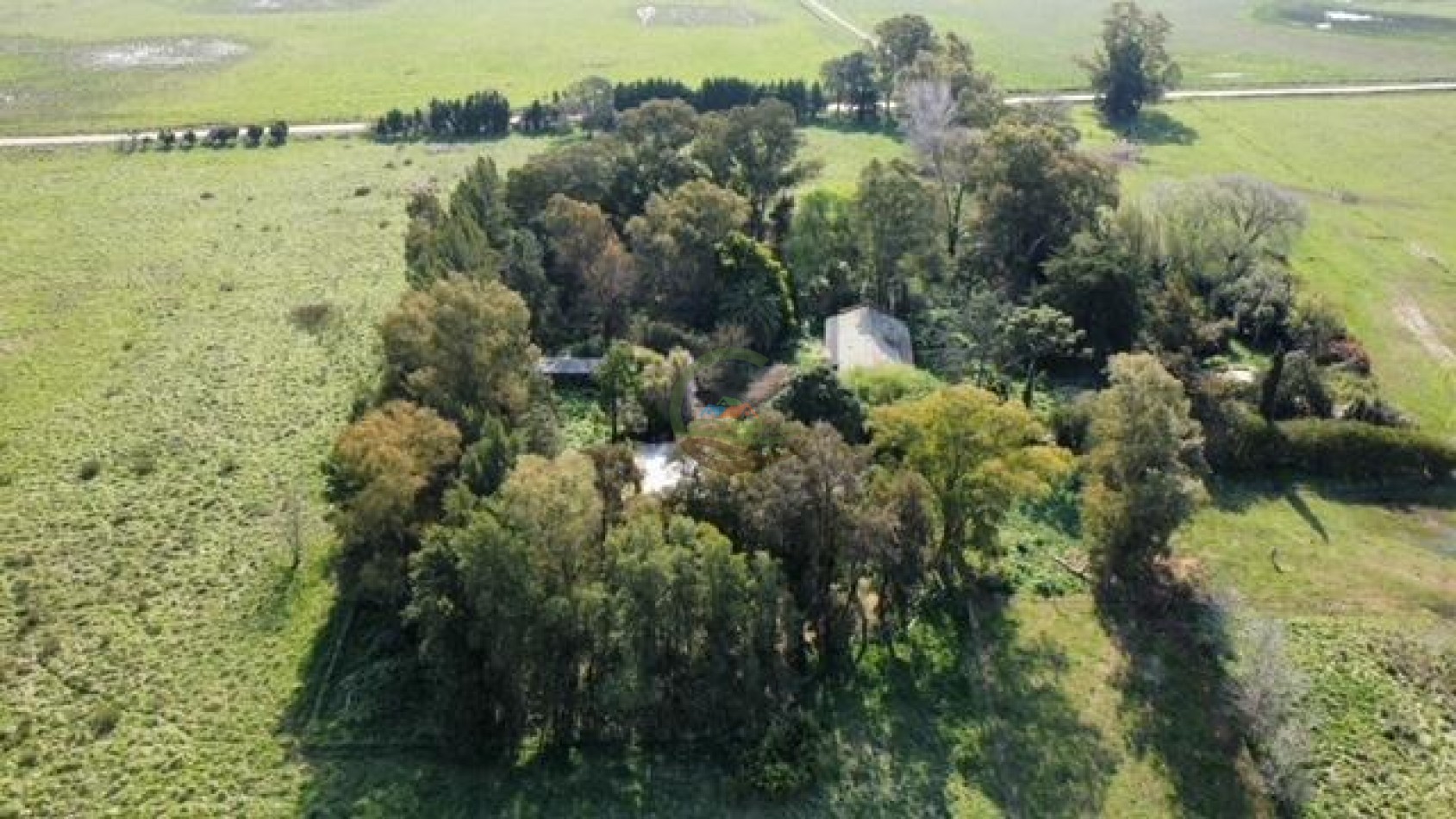 422 Ha Mixto - Las Flores