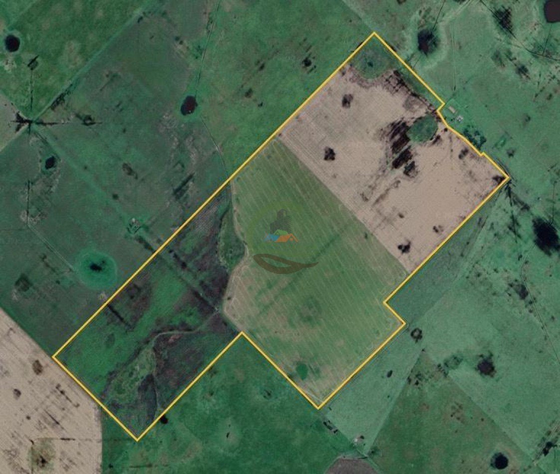 150 Ha Agricolas - Olavarria 