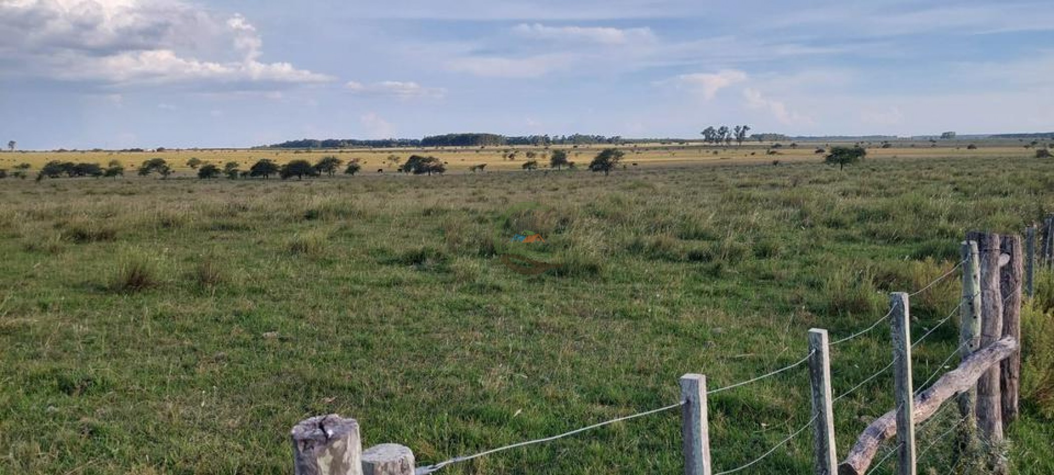 218 Ha Ganadero - Chajari - Entre Rios