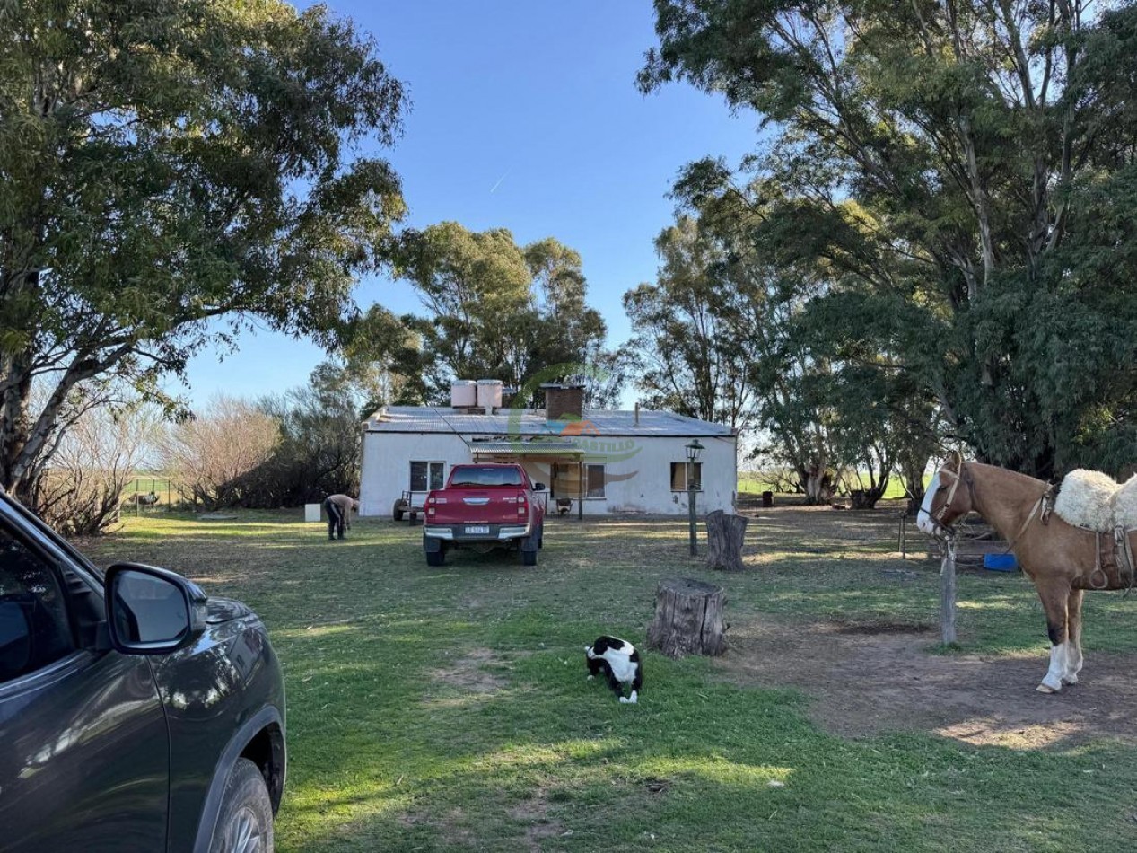 809 Ha Agricolas - Coronel Dorrego