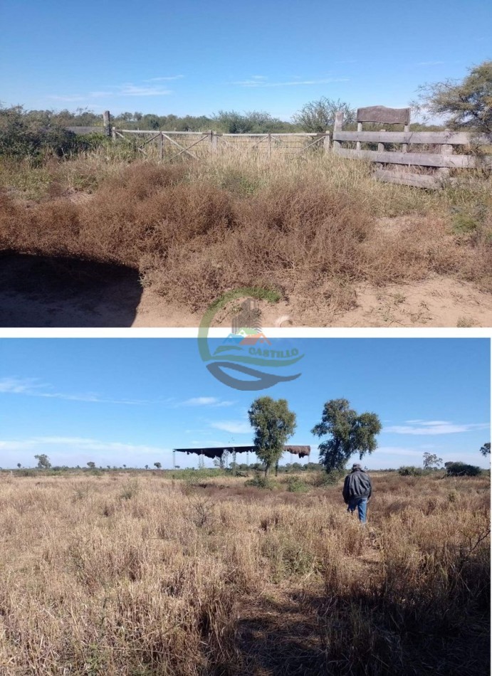 760 Ha Ganadero -  Malbran - Santiago del Estero
