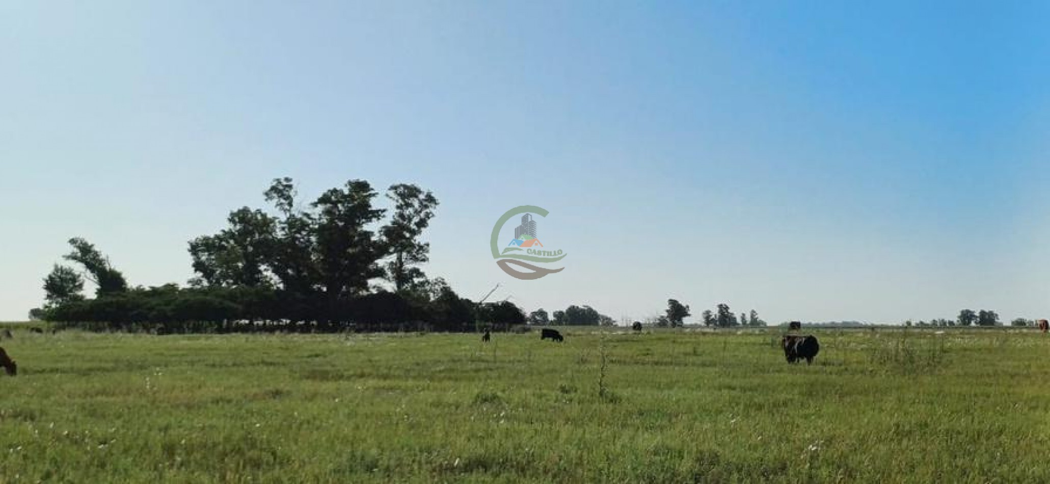 170 Ha Agricolas - Saladillo - Reynoso
