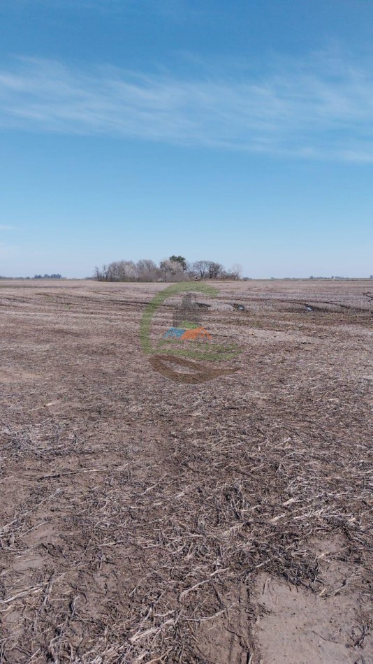 93 Ha Agricolas - 25 de Mayo 