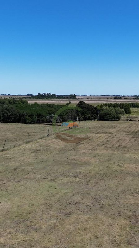 469 Ha Mixto - Chascomus