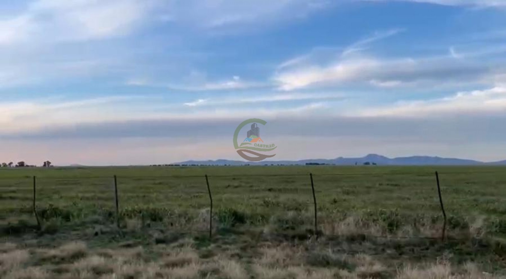 285 Ha Mixto - Naposta - Bahia Blanca