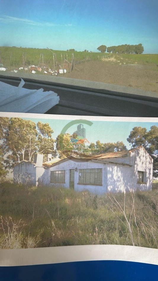 248 Ha Agricolas - Tedin Uriburu - Benito Juarez
