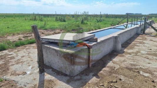 1752 Ha Mixta - Roque Perez