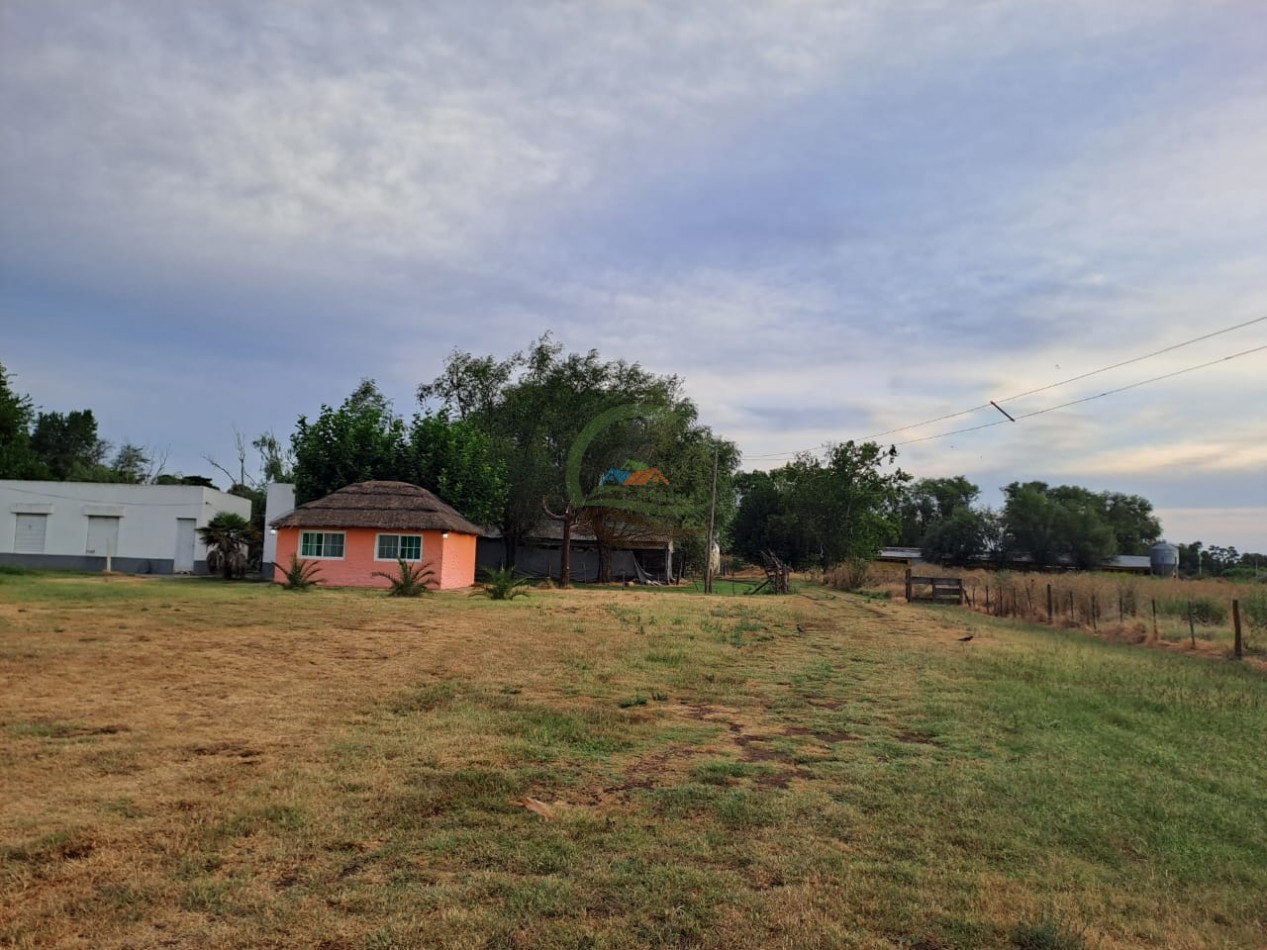 Granja Avicola con Casa - Pedernales