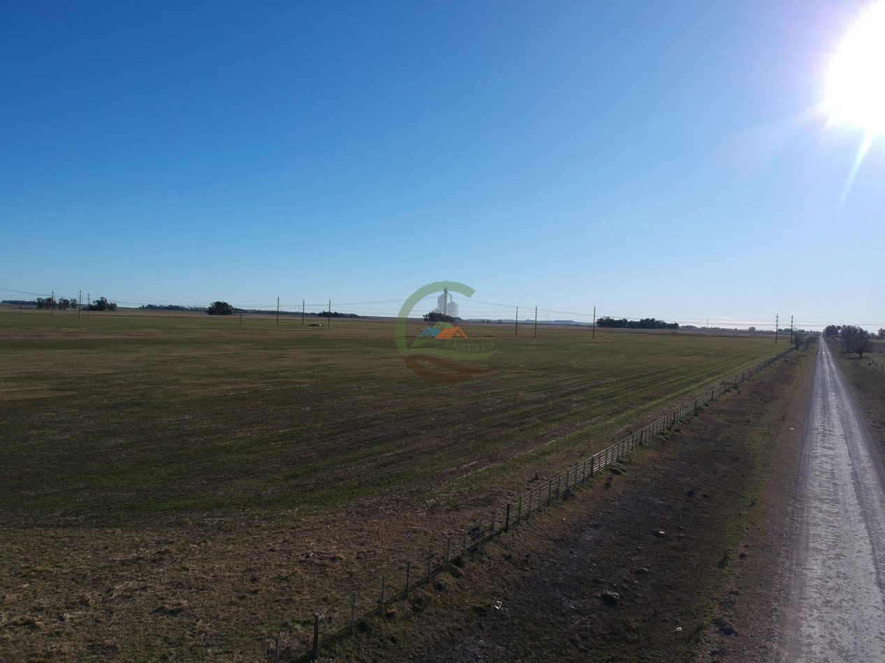 47 ha mixto - Olavarria