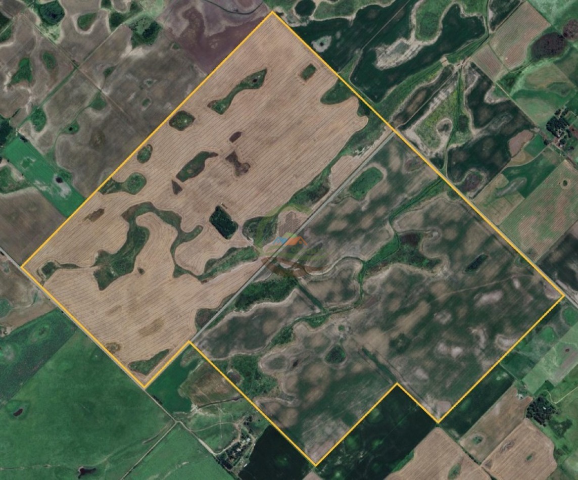 330 Ha Agricolas - Del Valle - Bolivar 