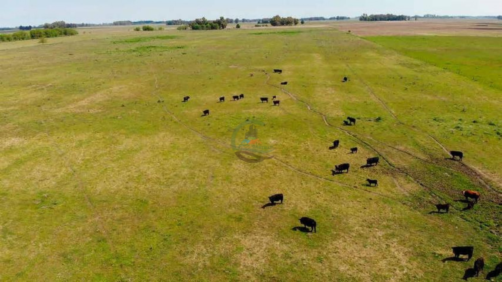 265 Ha Ganadero - Harosteguy - Las Flores