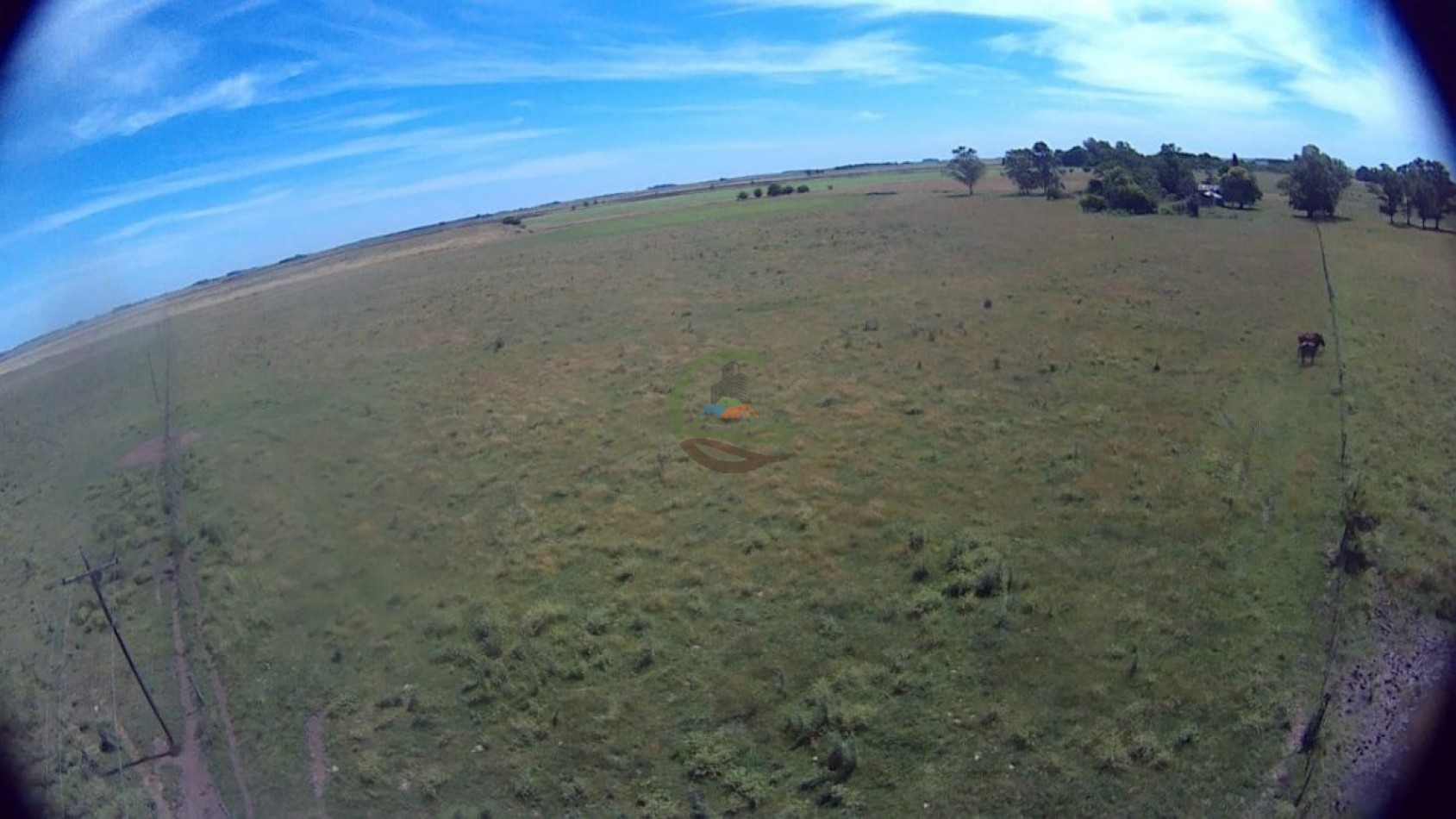 302 Ha Ganadero - Comandante Giribone - Chascomus