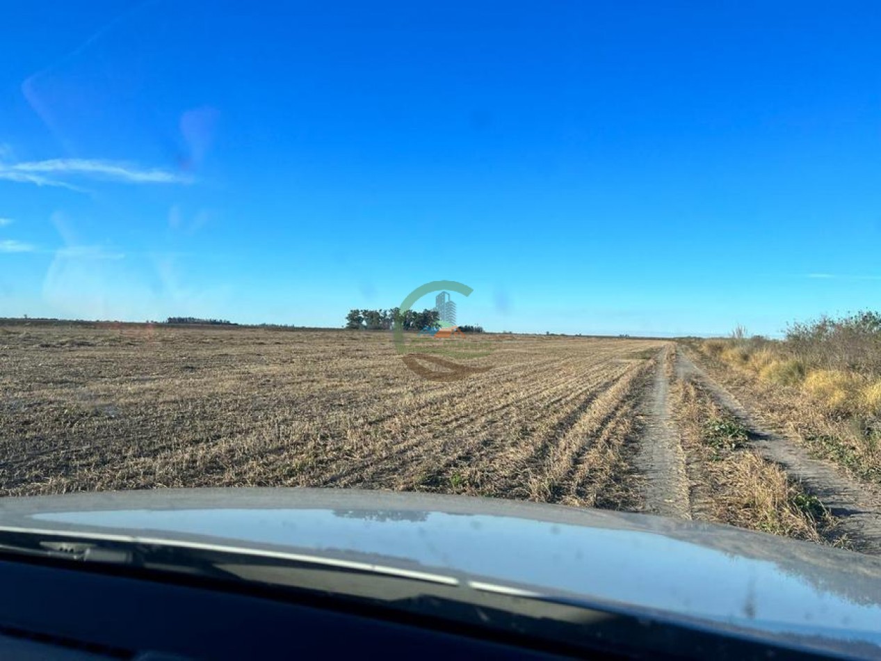 223 Ha Agricolas - El Florentino - Cordoba  
