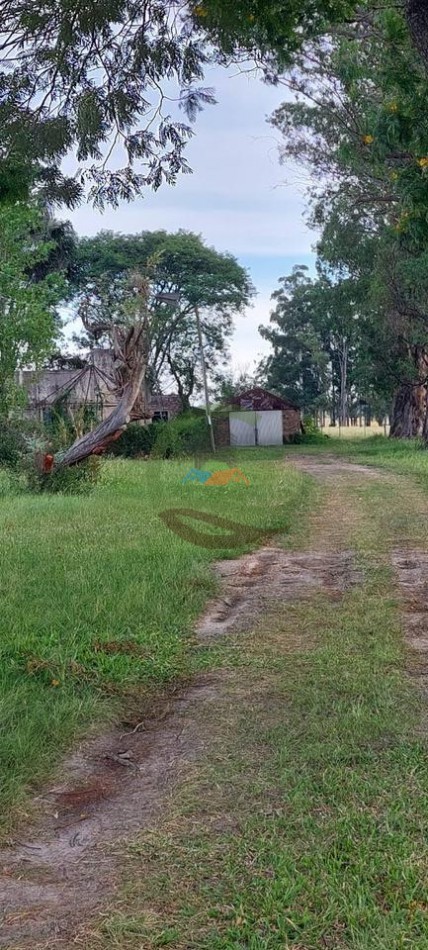 218 Ha Ganadero - Chajari - Entre Rios