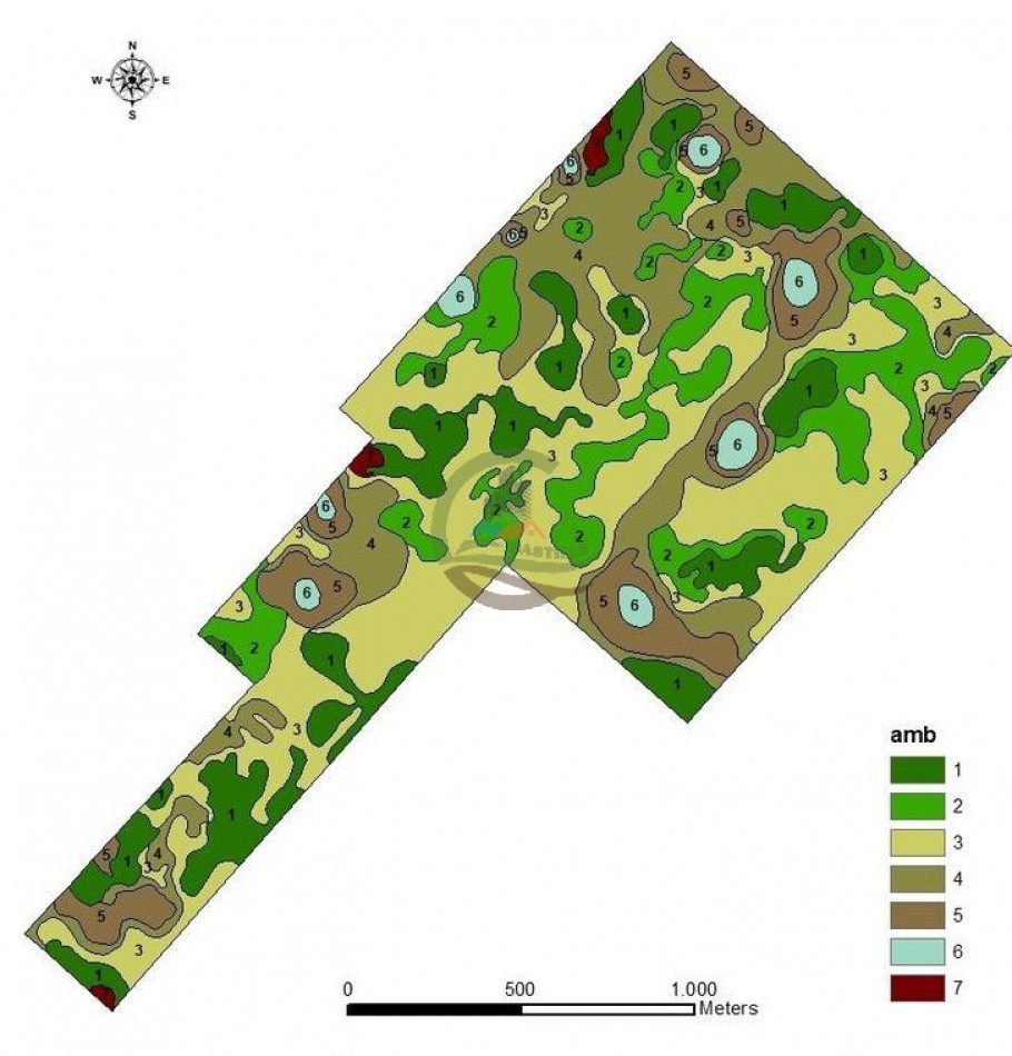 265 Ha Ganadero - Harosteguy - Las Flores