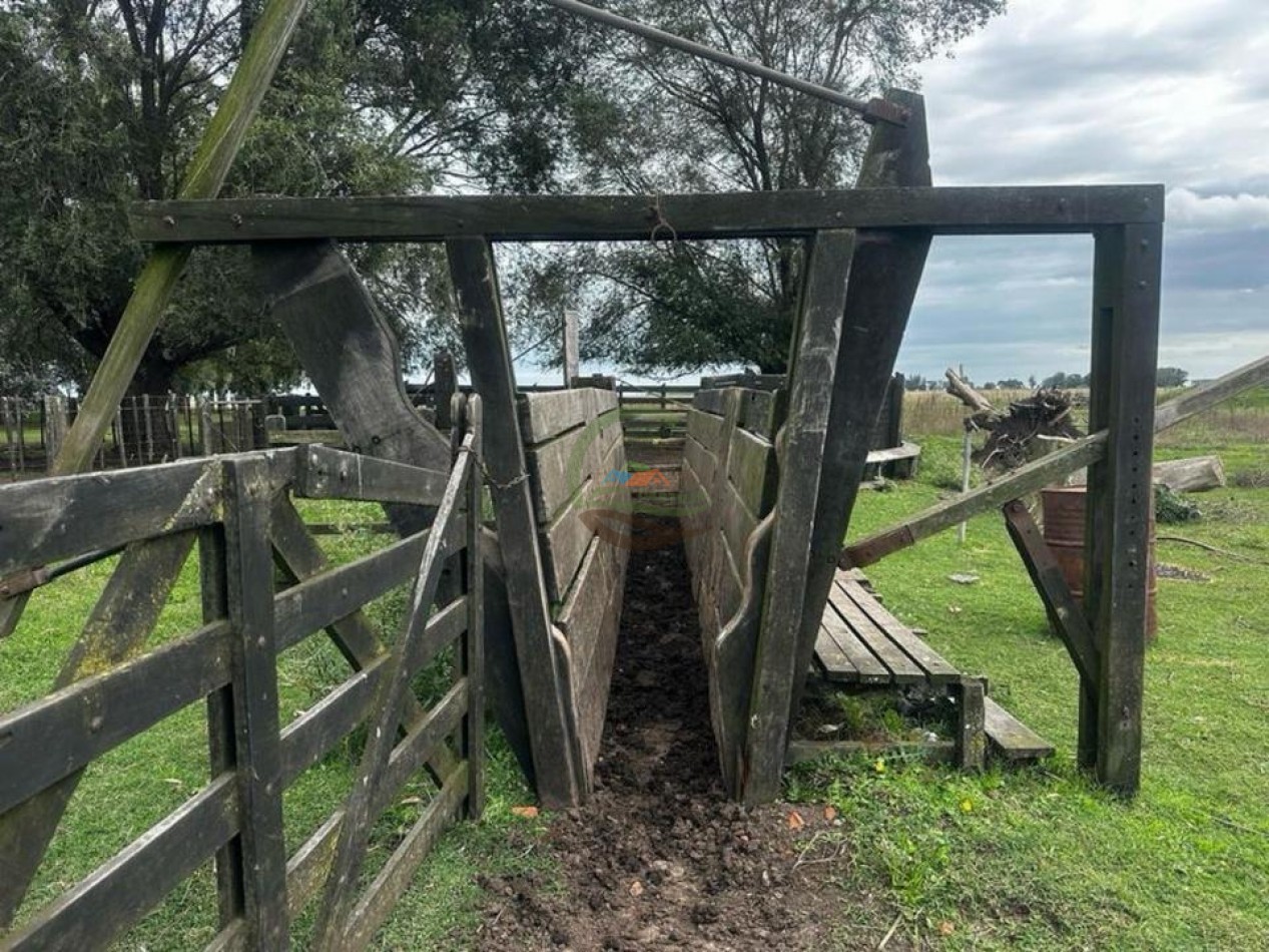 333 Ha Mixto - Balcarce