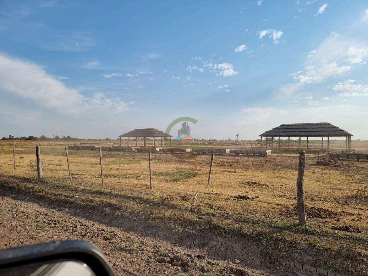 400 Ha Ganaderas - Gregoria Perez de Denis - Santa Fe