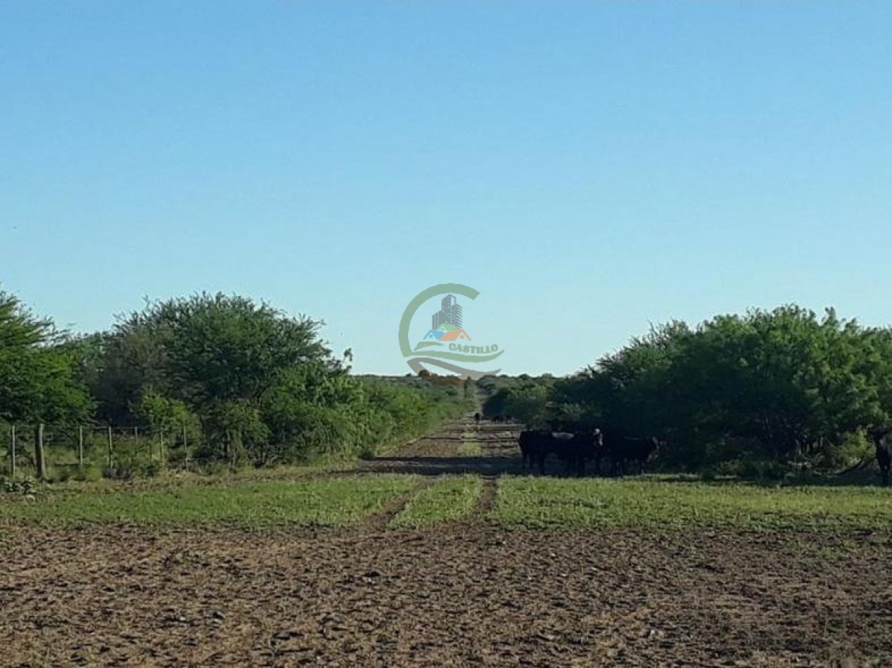 4954 Ha Ganadero - La Adela - La Pampa