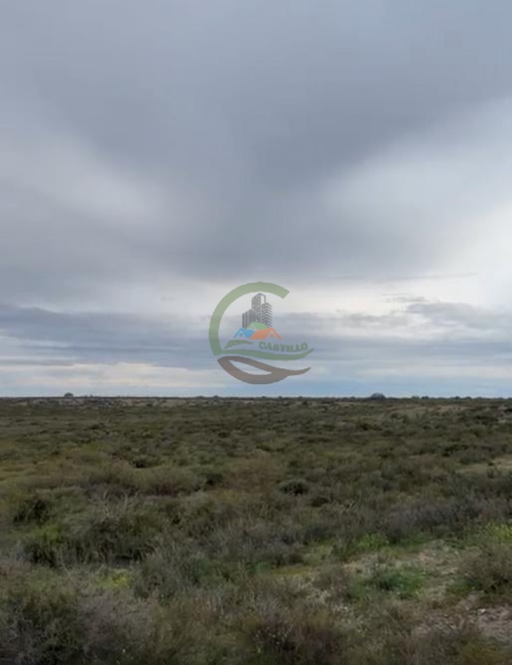 5117 Ha Ganadero - La Adela - La Pampa