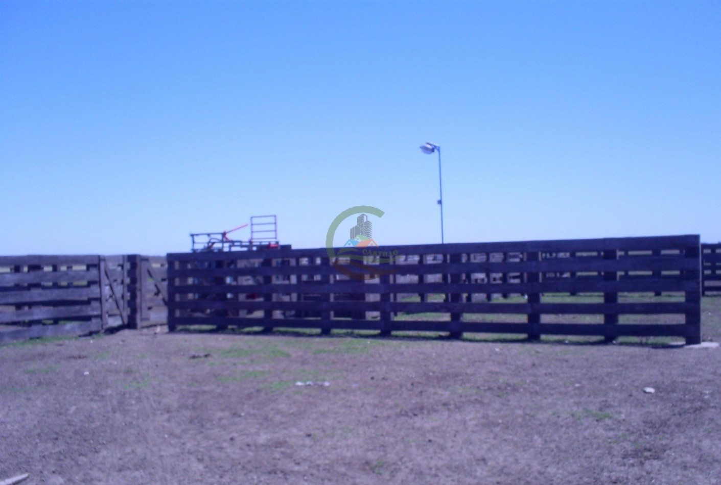 1354 Ha Mixto - Carhue