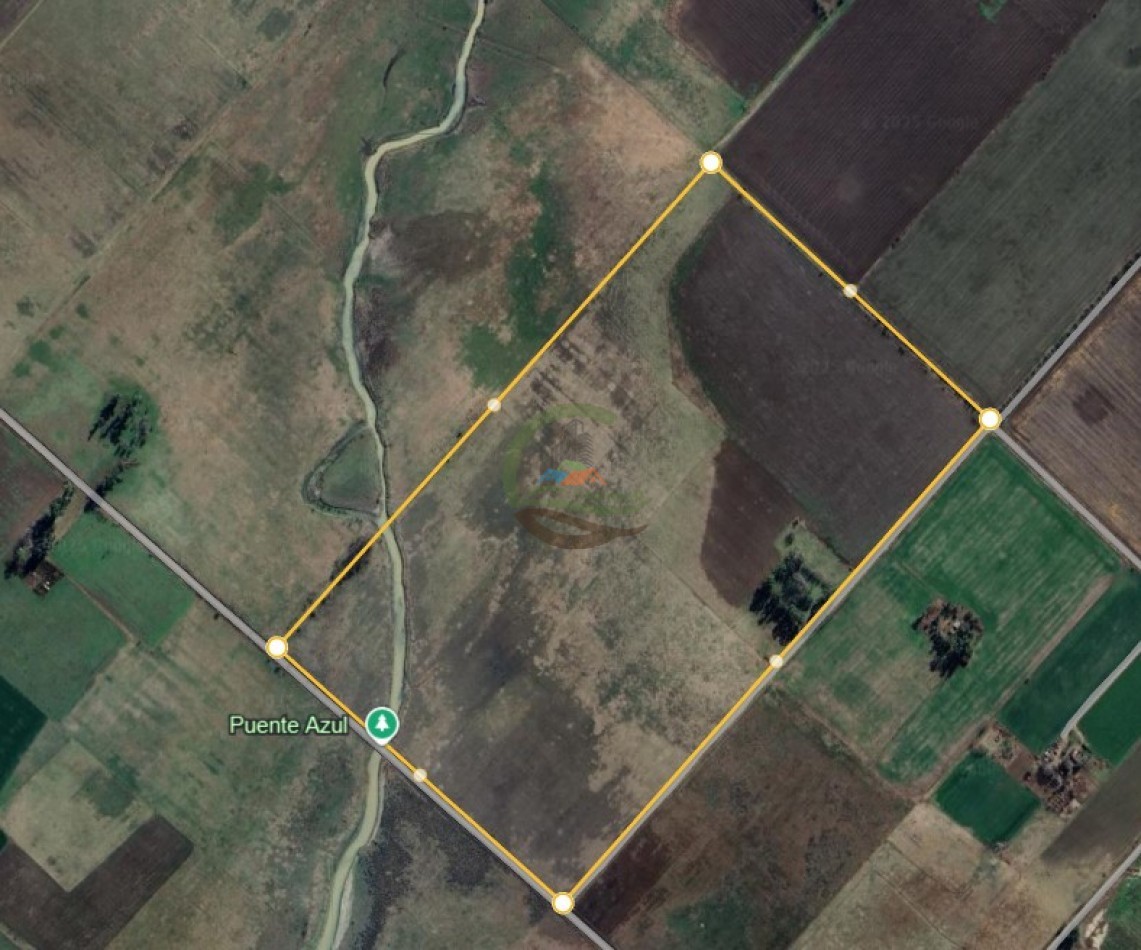 72 Ha Mixto - Chivilcoy