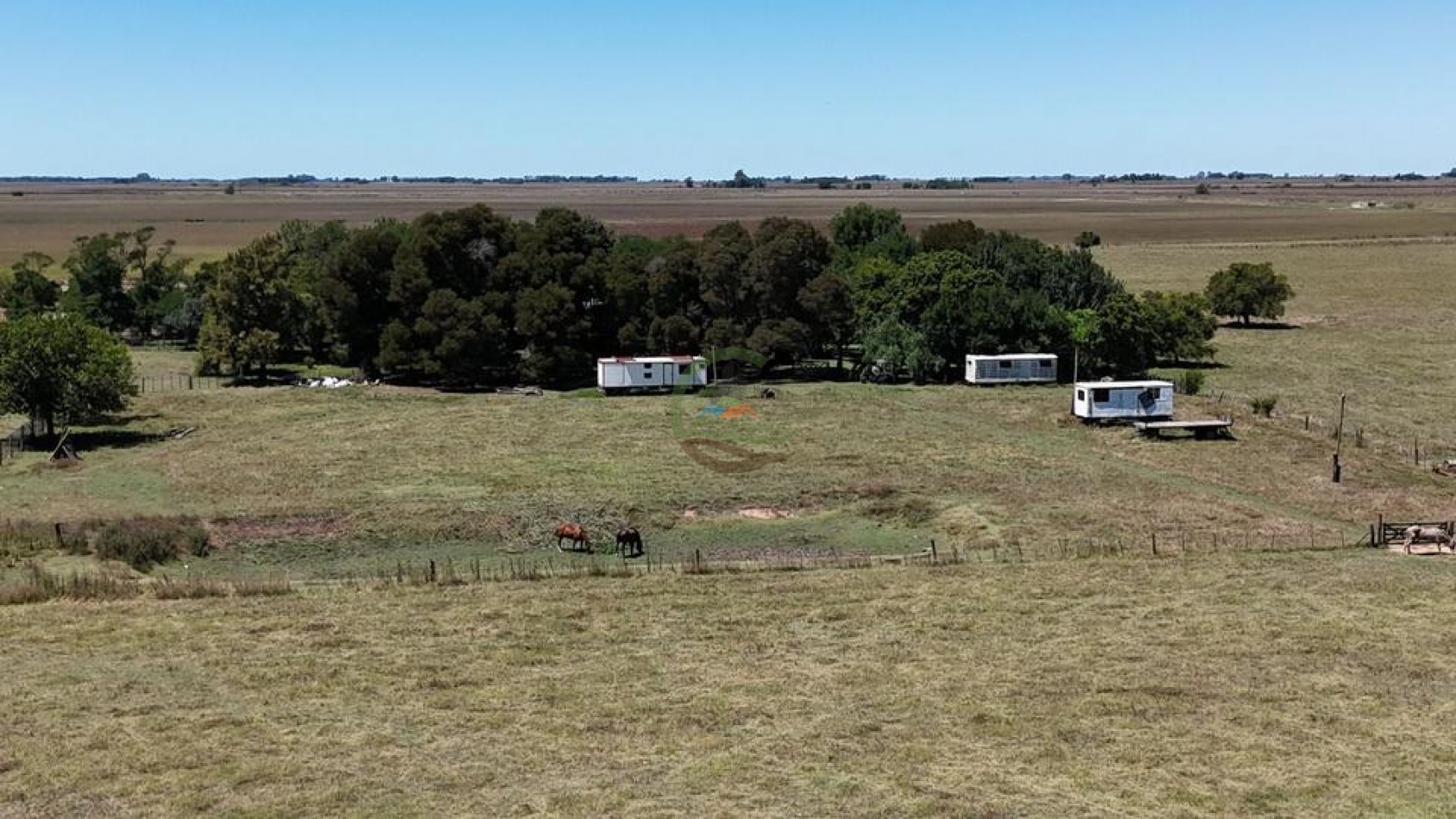 469 Ha Mixto - Chascomus