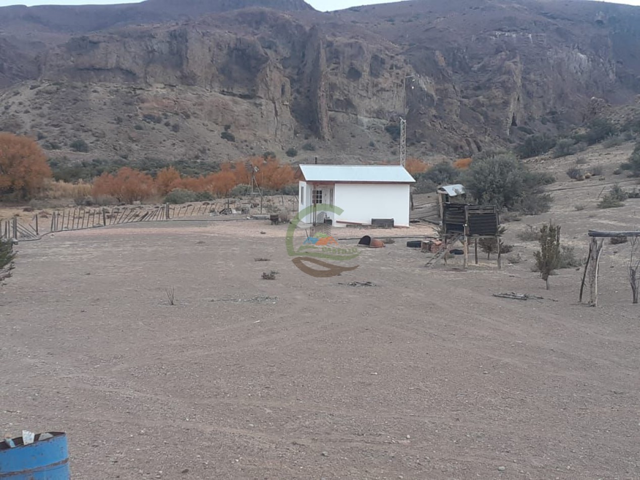 59000 ha Ganadero - Chubut