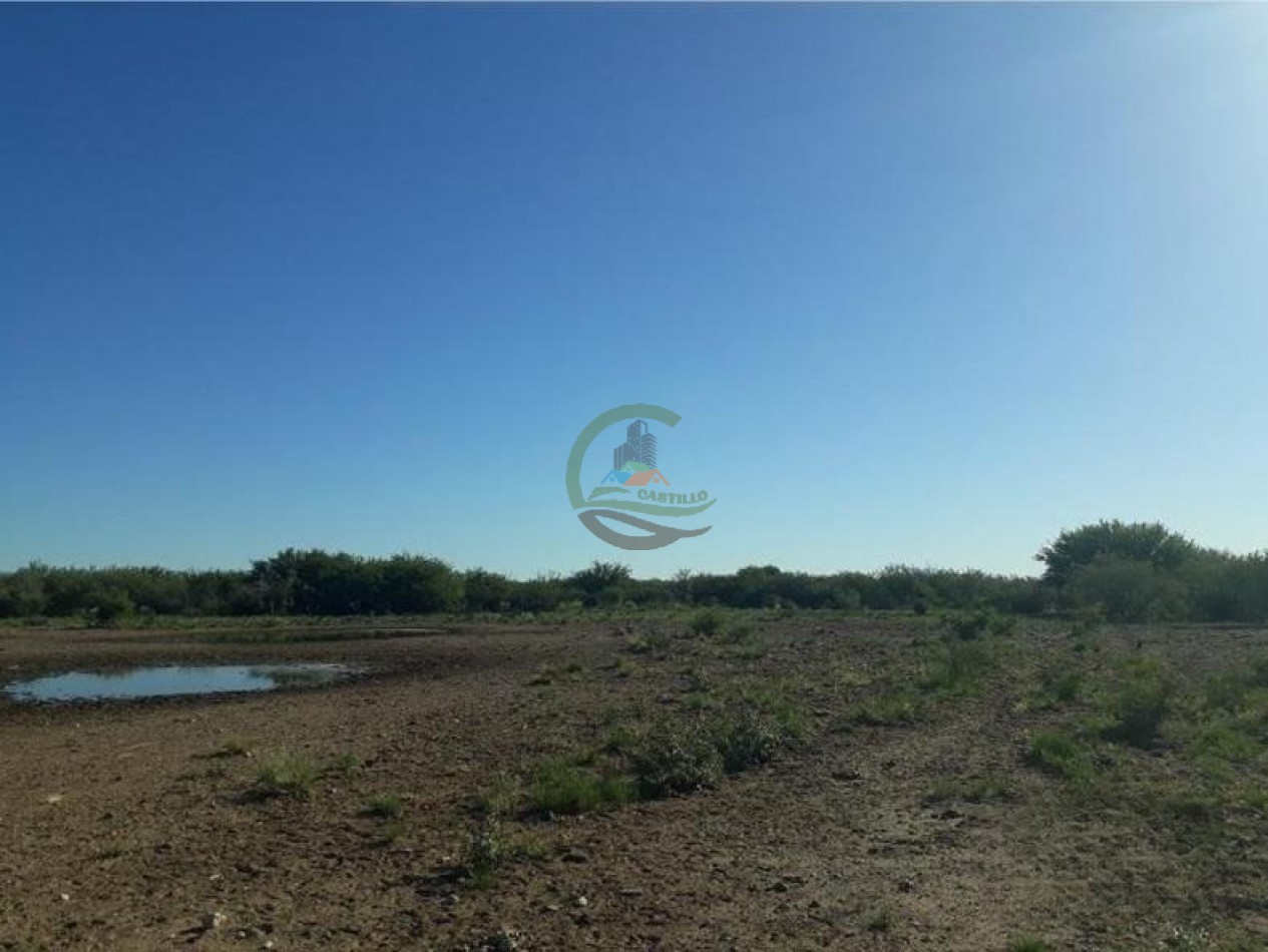 4954 Ha Ganadero - La Adela - La Pampa