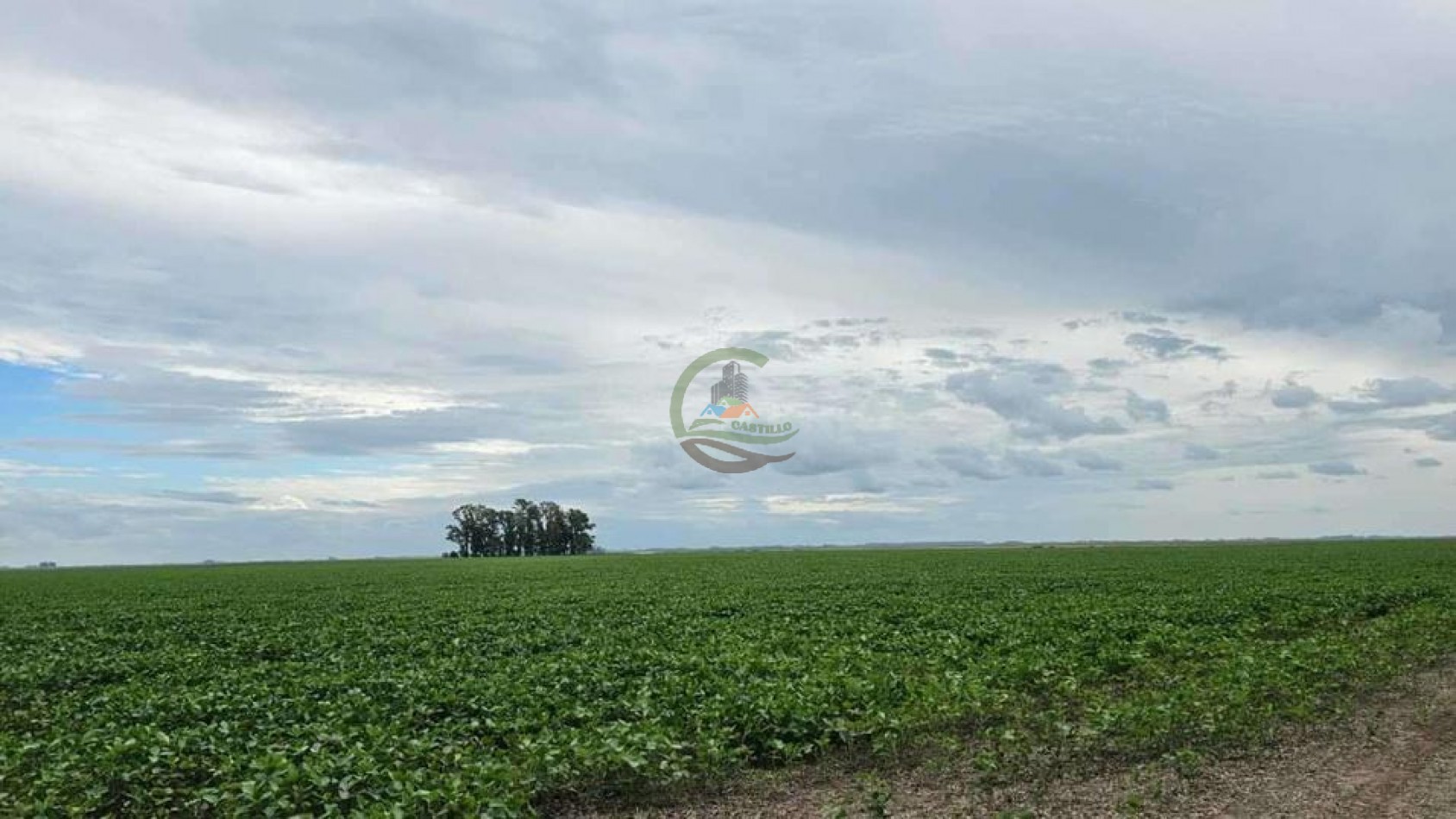 192 Ha Agricolas - General Pinto