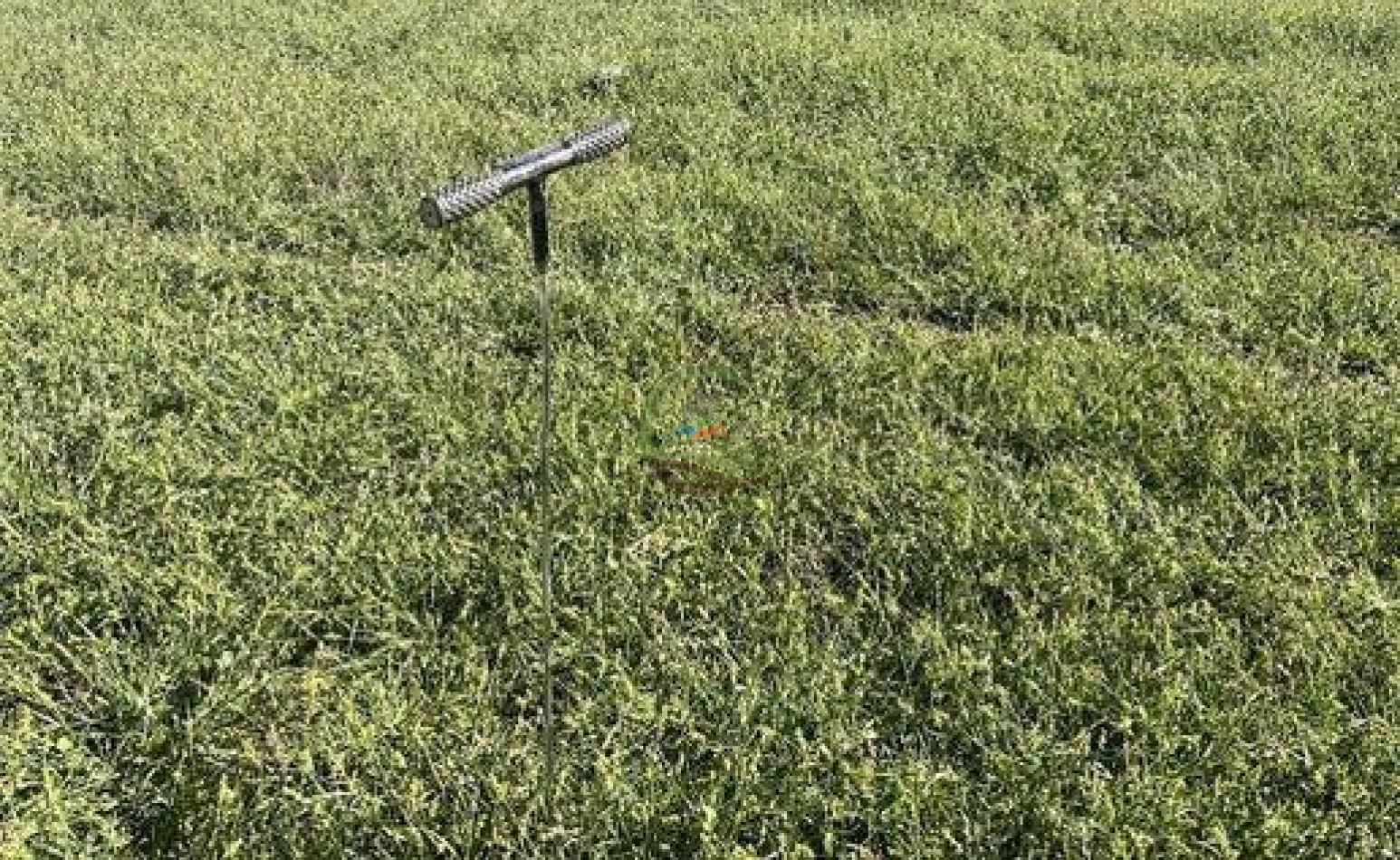 521 Ha Mixto - Toay - La Pampa
