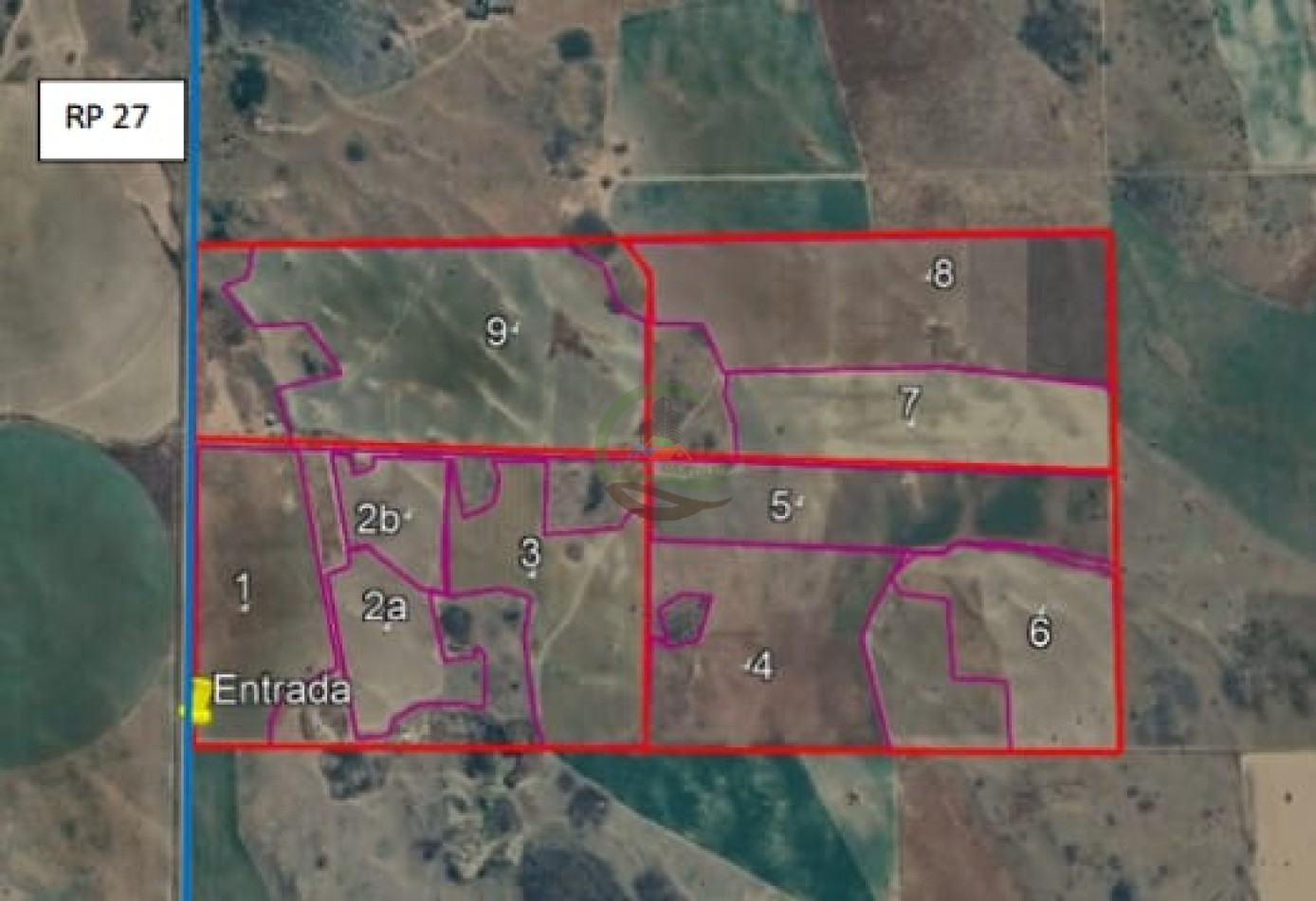 500 Ha Mixtas - Gobernador Dupuy - San Luis