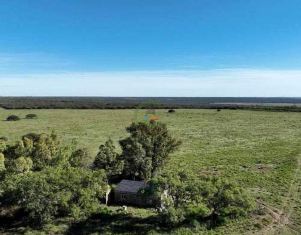 3780 Ha Mixto - Alpachiri - Guatrache - La Pampa