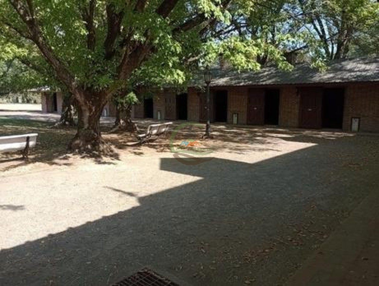 60 ha Haras - San Andres de Giles