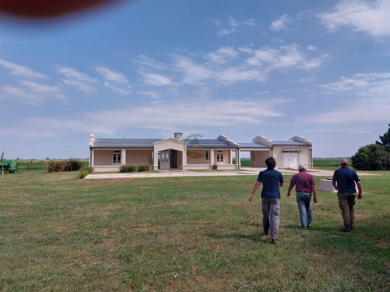 515 ha MIxtas - Pergamino