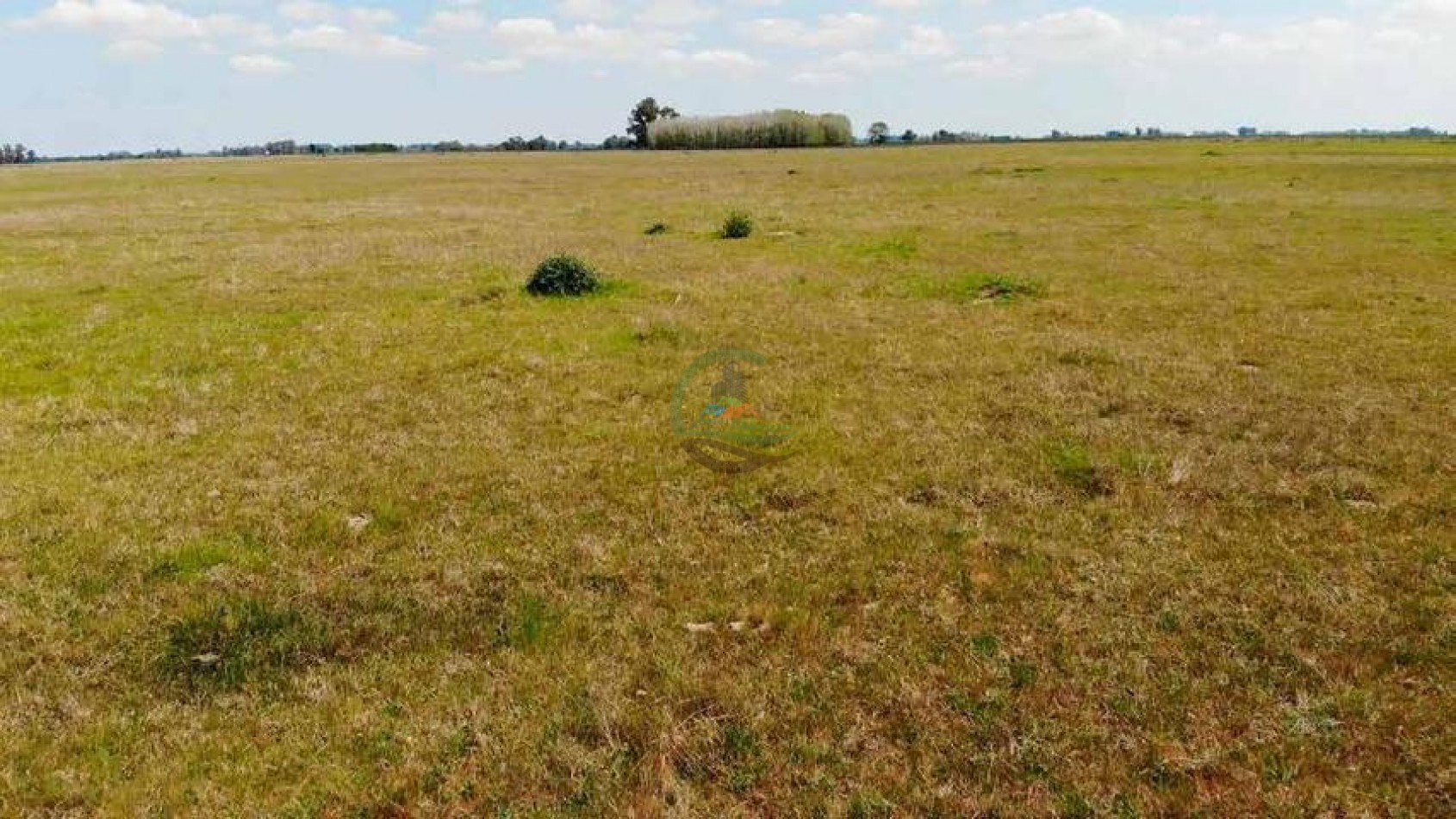 265 Ha Ganadero - Harosteguy - Las Flores